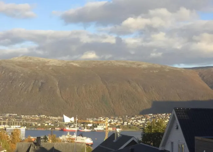 Cozy In The Heart Of *